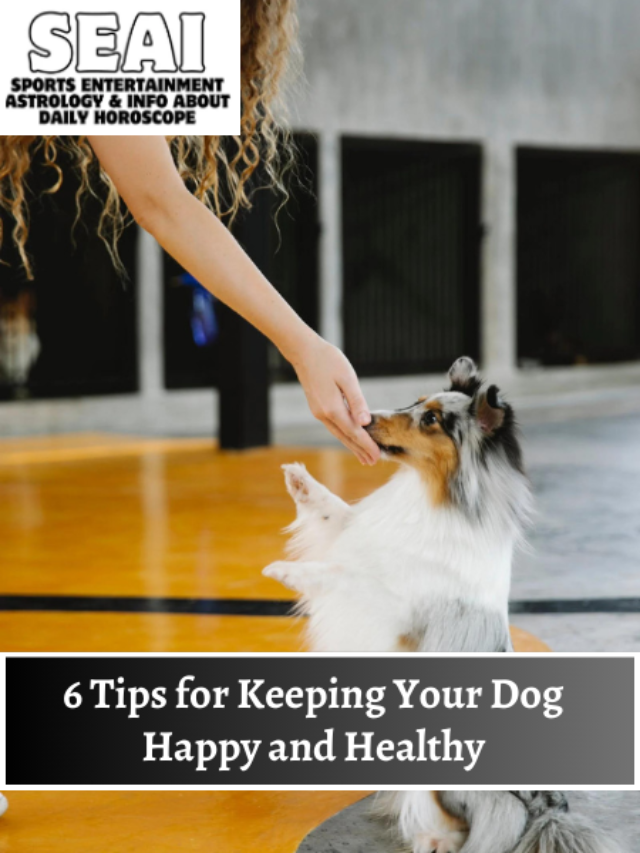 6 Tips for Keeping Your Dog Happy and Healthy
