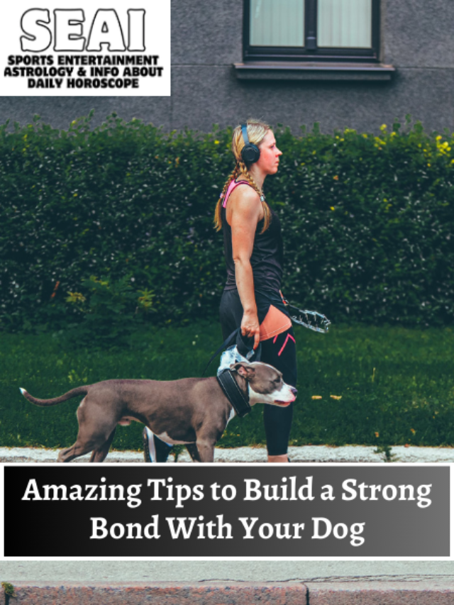 Amazing Tips to Build a Strong Bond With Your Dog