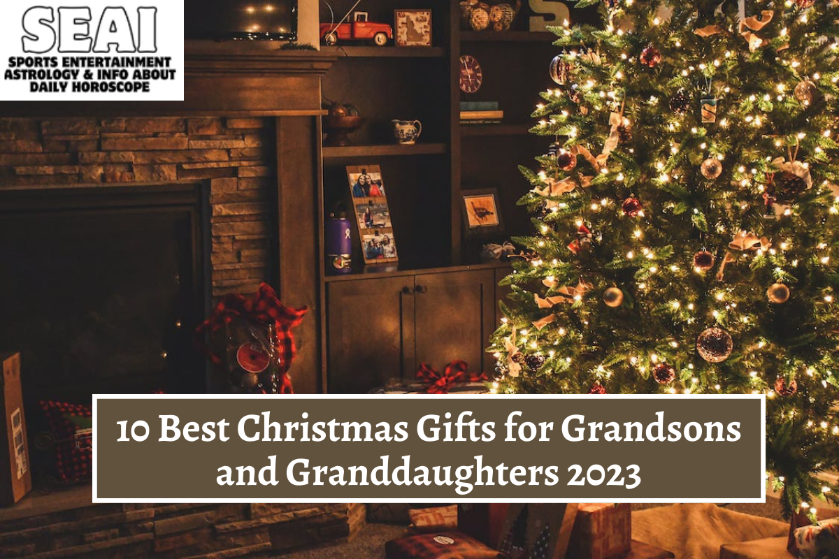 10 Best Christmas Gifts for Grandsons and Granddaughters 2023