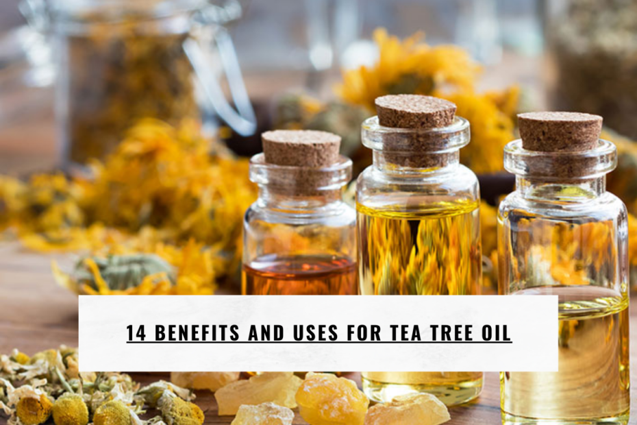 14 Benefits and Uses for Tea Tree Oil