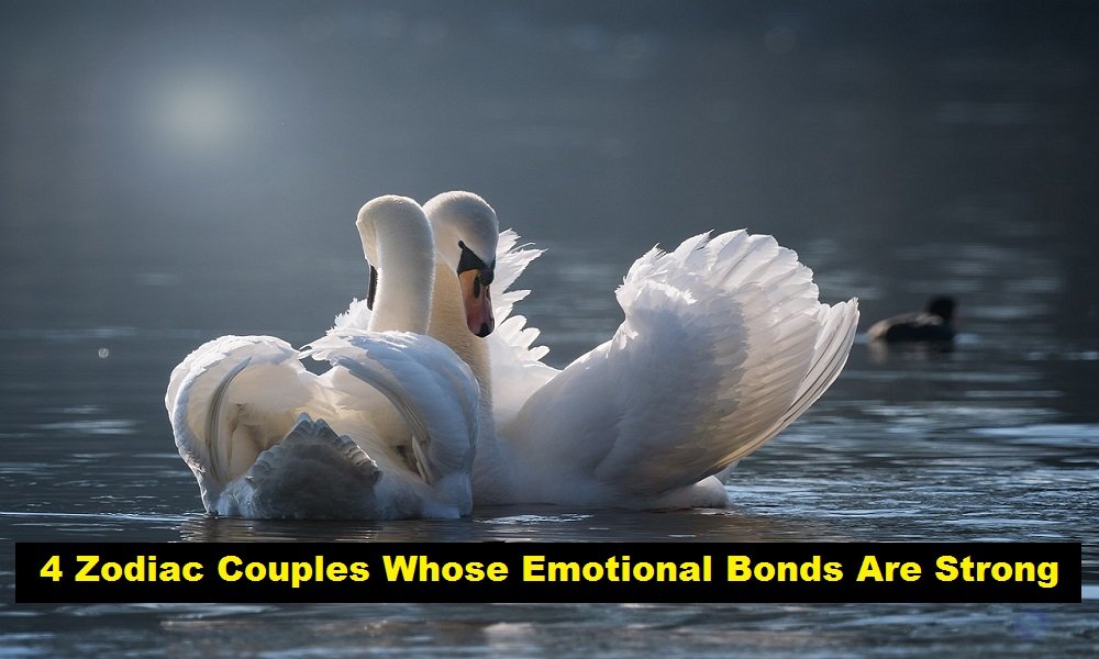 4 Zodiac Couples Whose Emotional Bonds Are Strong