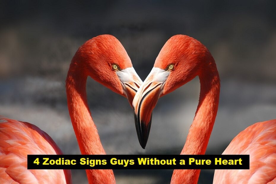 4 Zodiac Signs Guys Without a Pure Heart