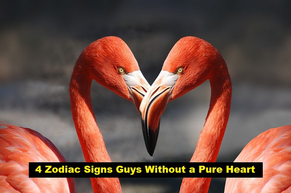 4 Zodiac Signs Guys Without a Pure Heart
