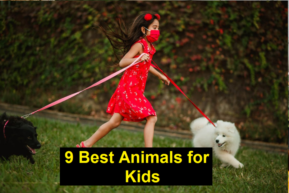 9 Best Animals for Kids