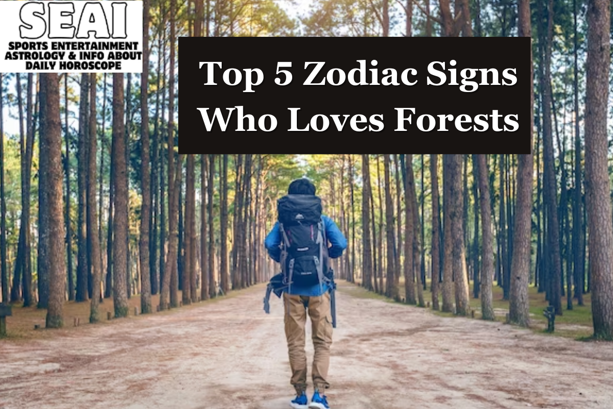 Top 5 Zodiac Signs Who Loves Forests