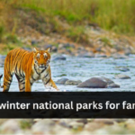 Best winter national parks for families