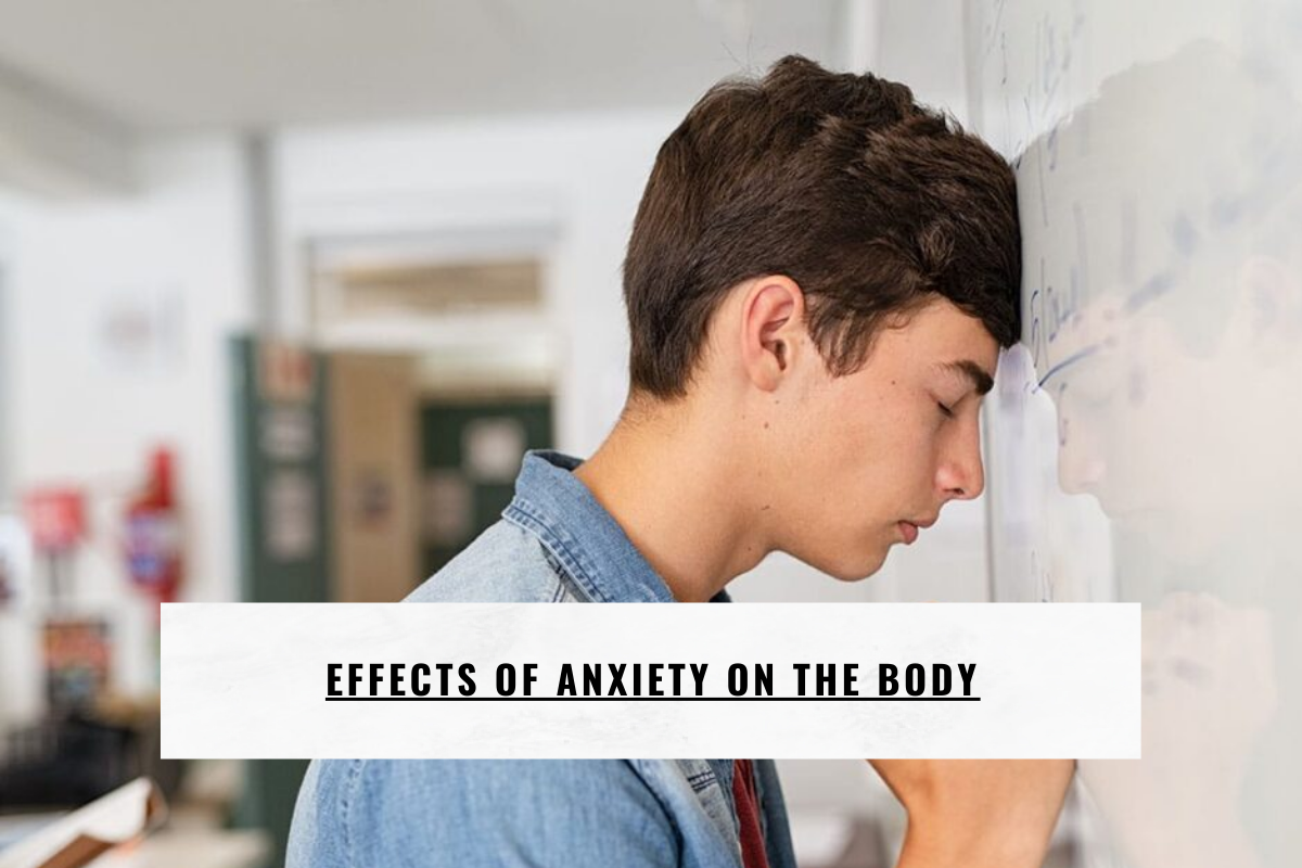 Effects of Anxiety on the Body