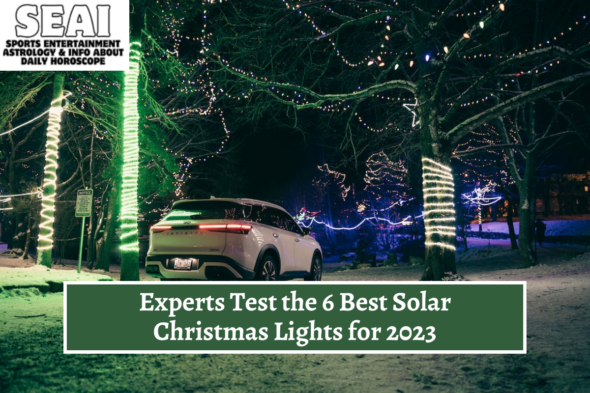 Experts Test the 6 Best Solar Christmas Lights for 2023