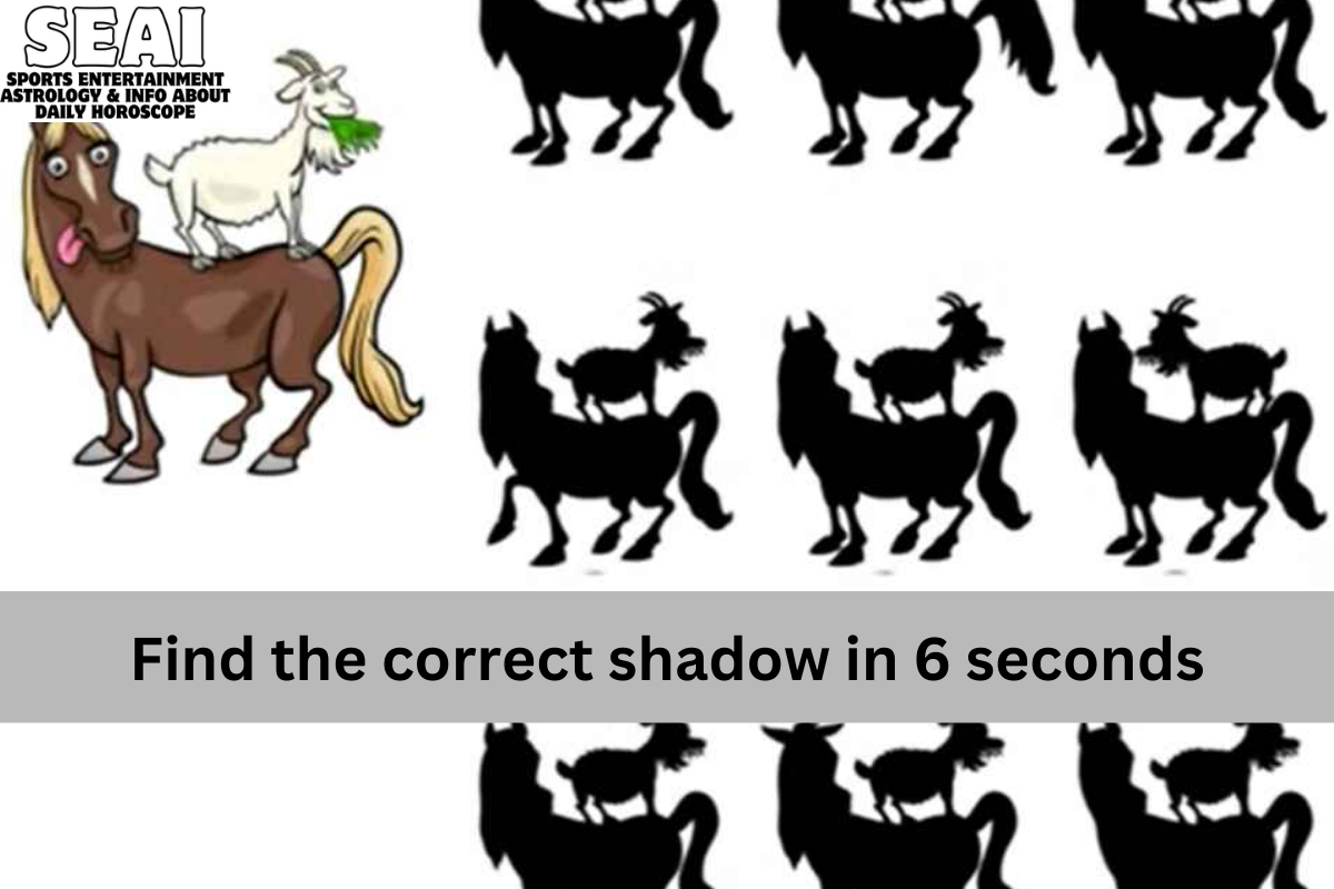 Find the correct shadow in 6 seconds