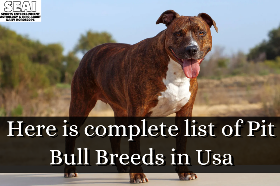 Here is complete list of Pit Bull Breeds in Usa