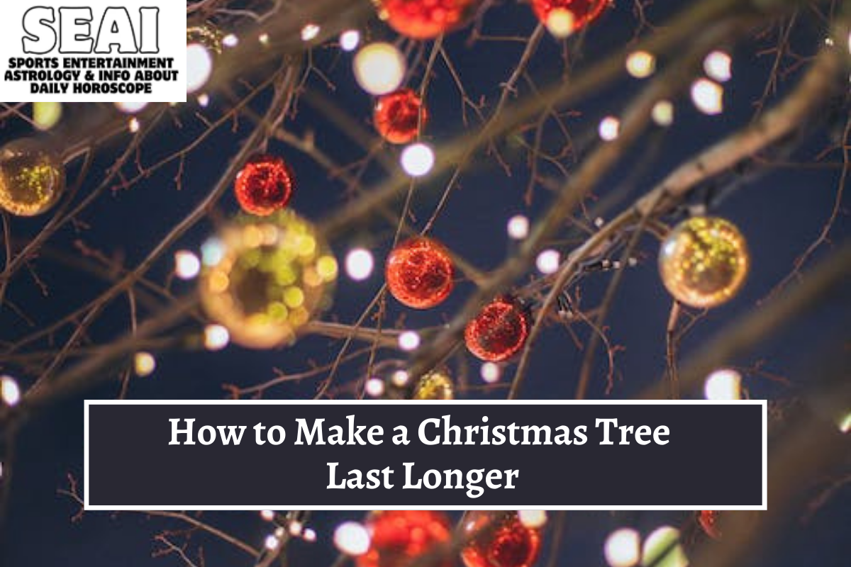How to Make a Christmas Tree Last Longer