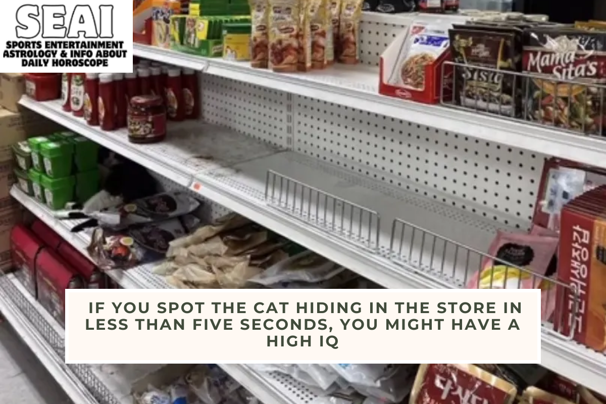 If you spot the cat hiding in the store in less than five seconds, you might have a high IQ