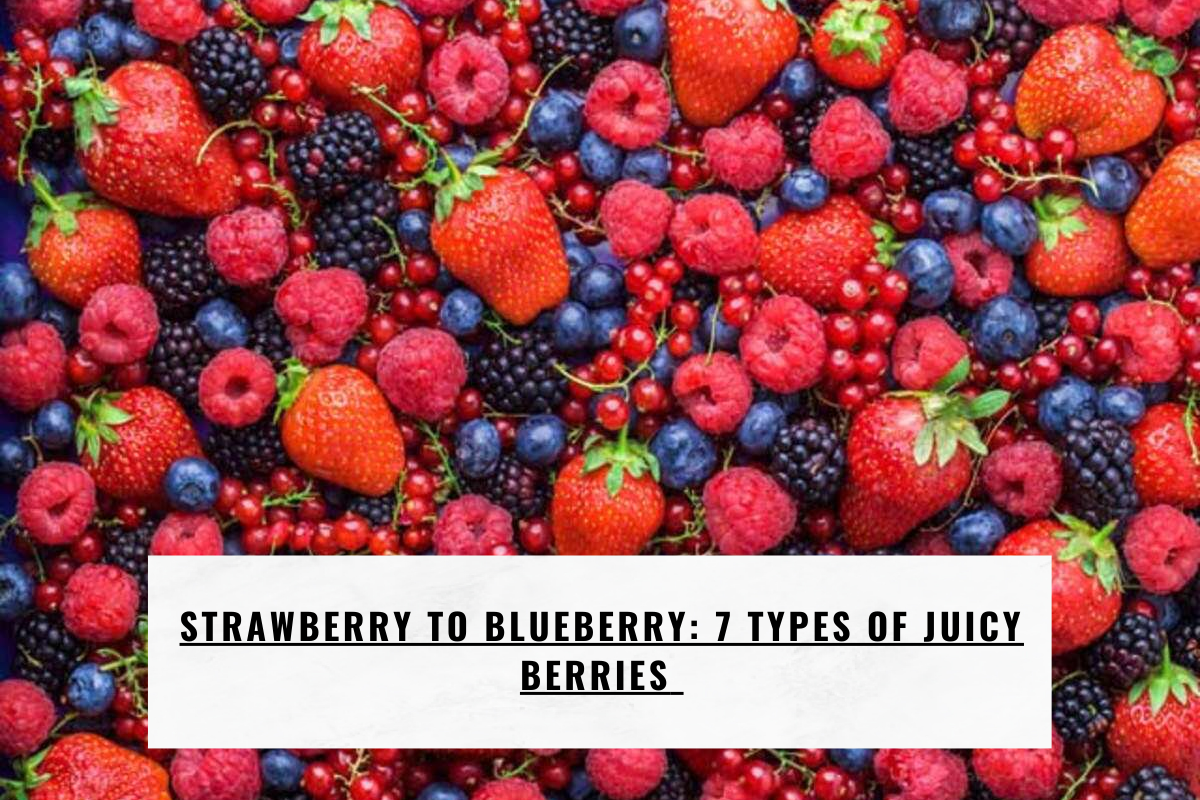 Strawberry to Blueberry: 7 types of juicy berries