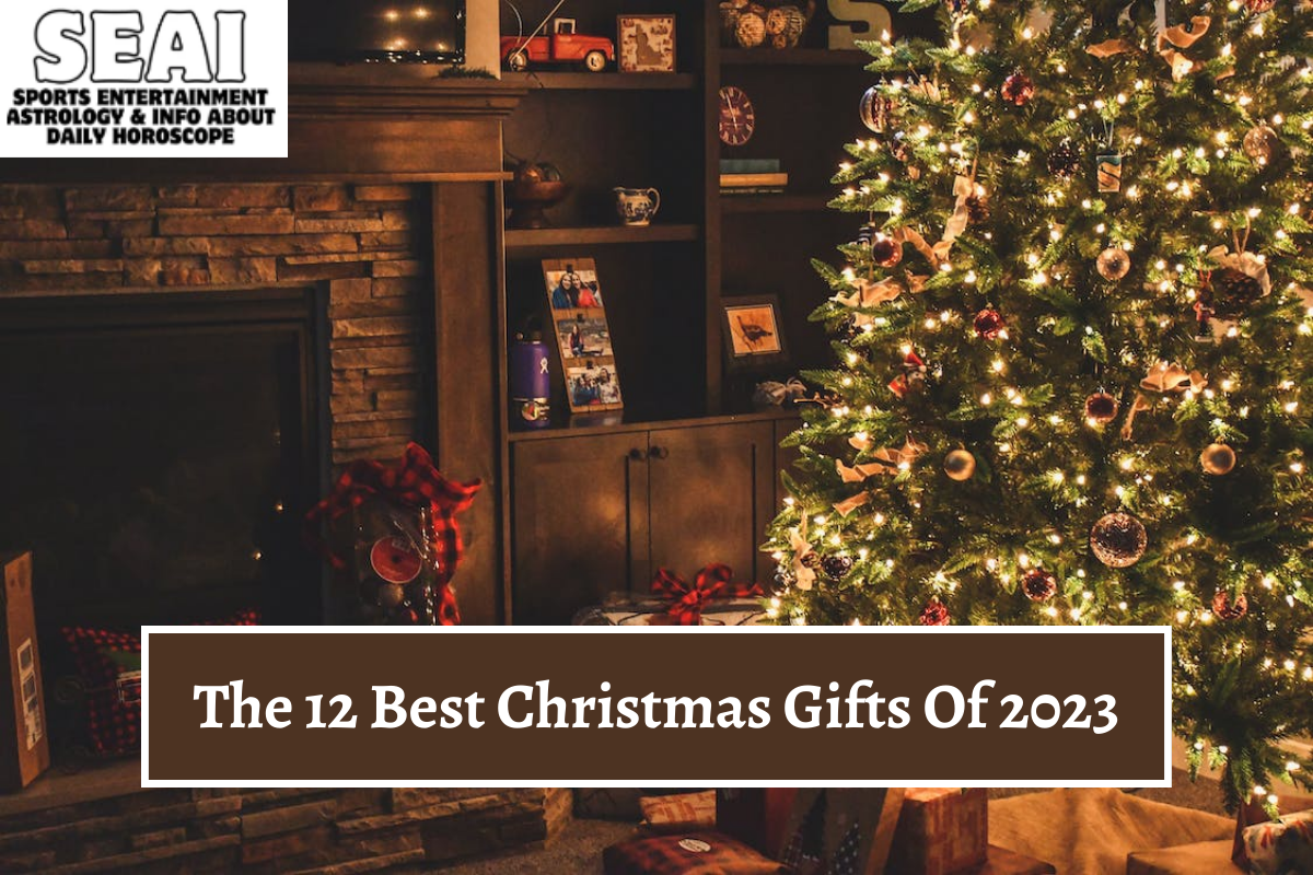 The 12 Best Christmas Gifts Of 2023