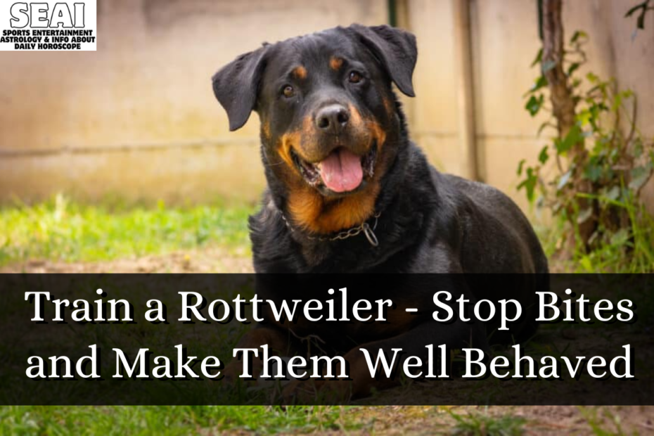 Train a Rottweiler - Stop Bites and Make Them Well Behaved