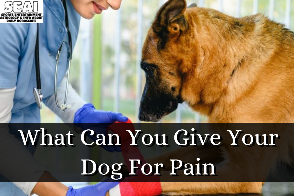 What Can You Give Your Dog For Pain