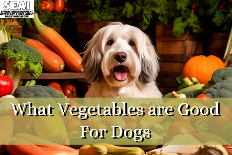 What Vegetables are Good For Dogs