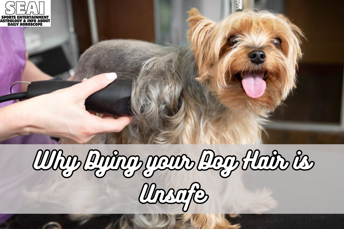 Why Dying your Dog Hair is Unsafe