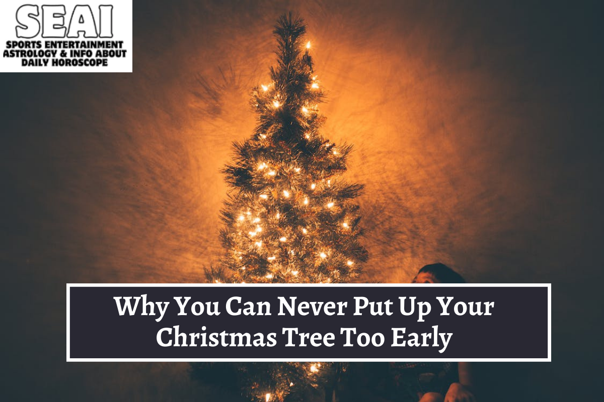 Why You Can Never Put Up Your Christmas Tree Too Early