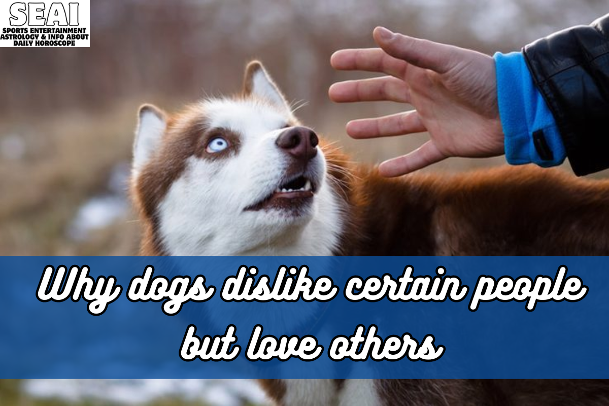 Why dogs dislike certain people but love others
