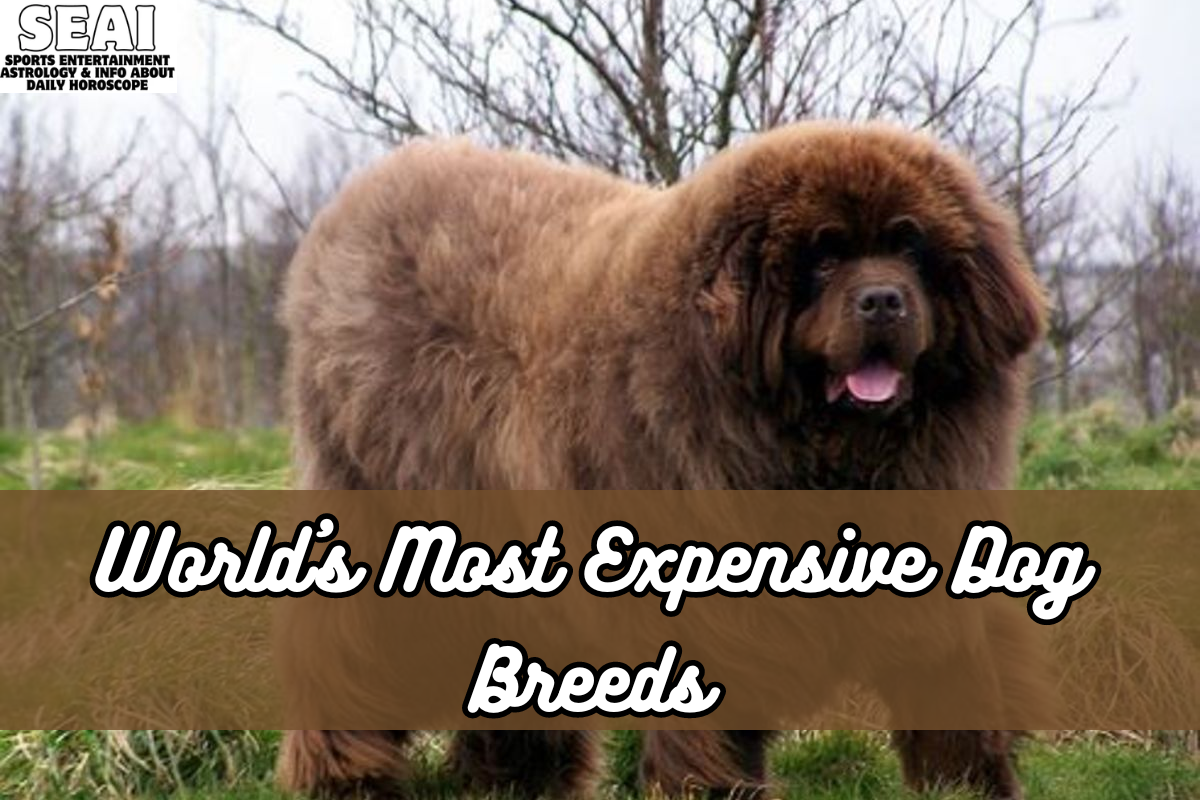 World's Most Expensive Dog Breeds