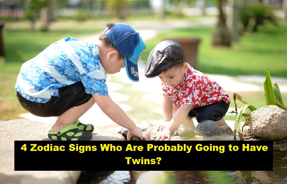 4 Zodiac Signs Who Are Probably Going to Have Twins?